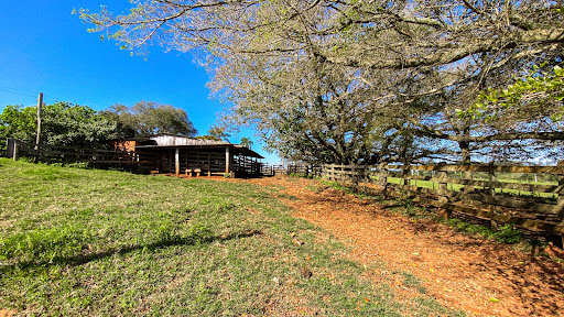 Chácara no Rincão Del Rei com 4 dormitórios - Foto 5