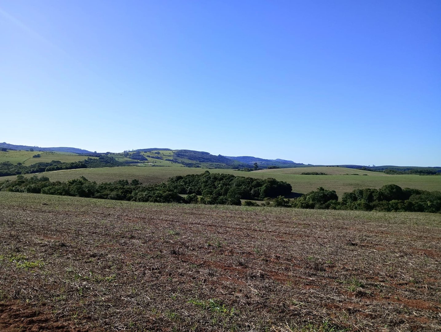 187 hectares - Arroio dos Ratos - Foto 7