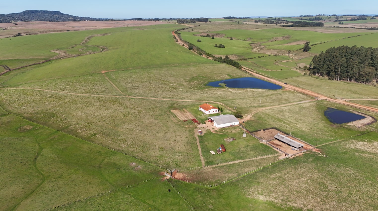 203 hectares - Vale Verde - Foto 10