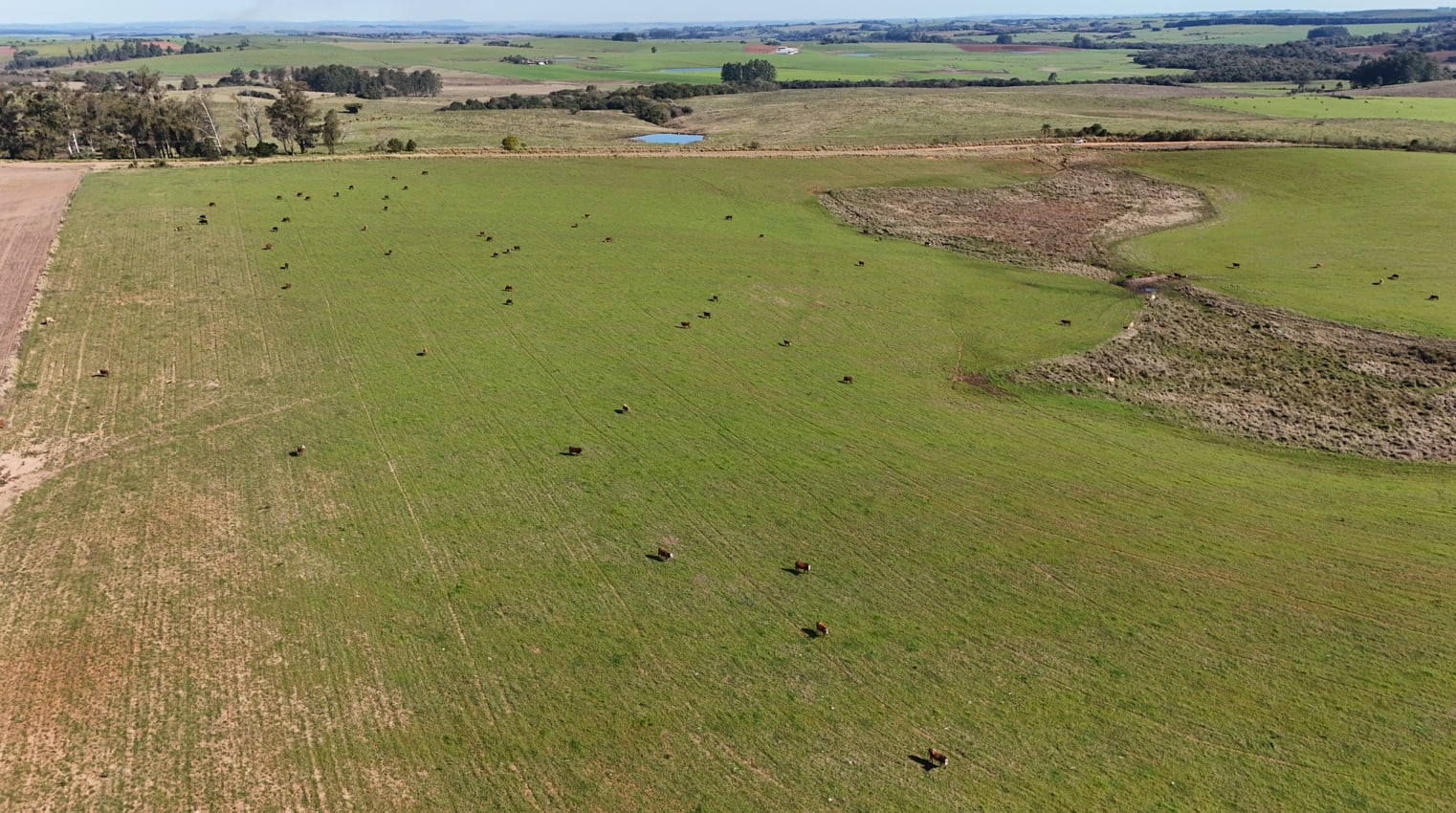 203 hectares - Vale Verde - Foto 6