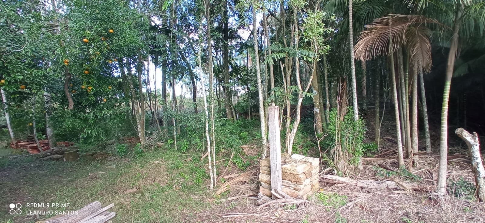 2 hectares - Linha Pinheiral  - Foto 5