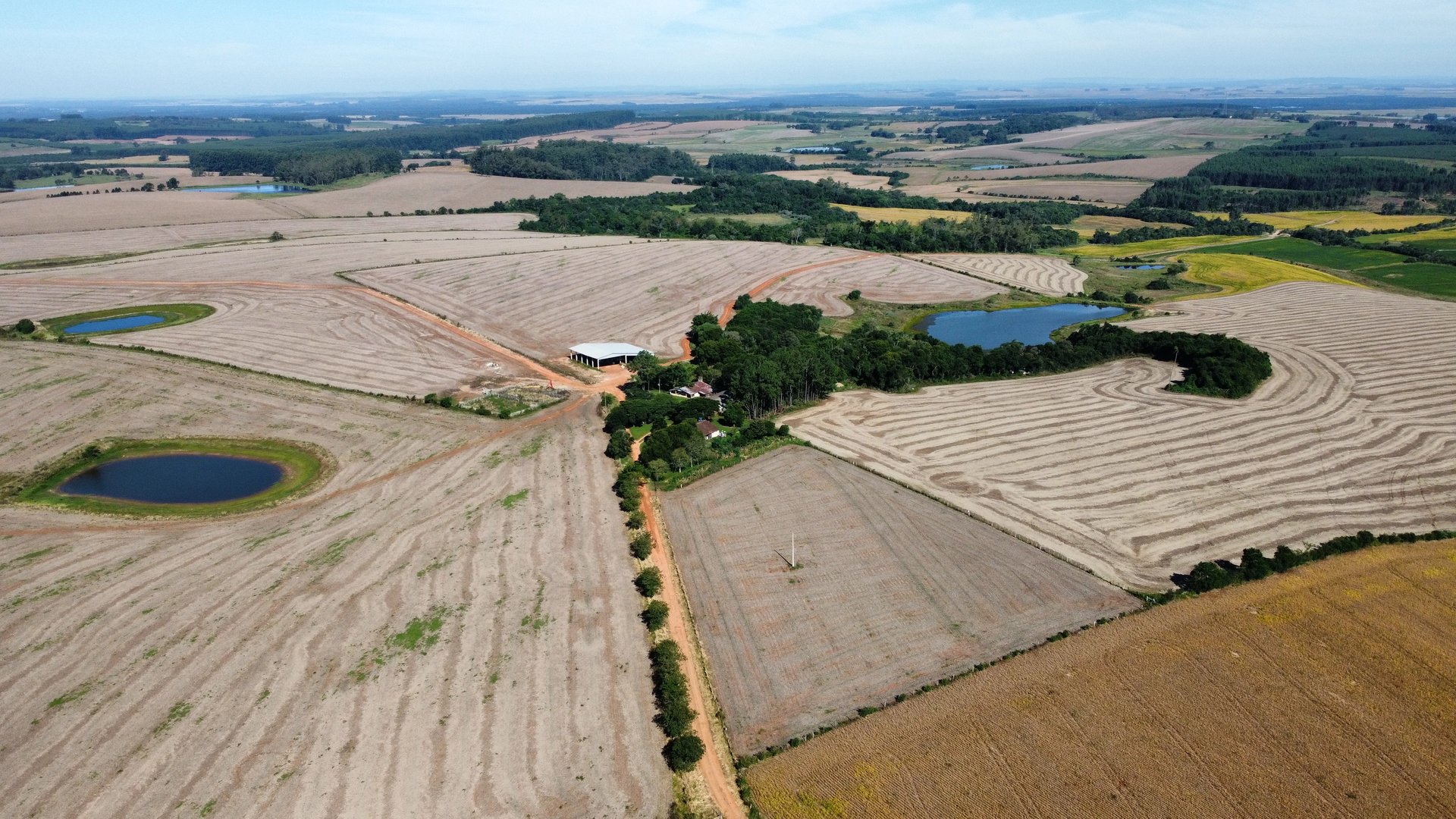 370 hectares - General Câmara - Foto 3