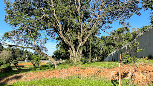 Empreendimento em Country - Santa Cruz do Sul, RS - Foto 11