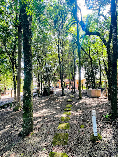 Casa em Linha Santa Cruz com 3 dormitórios e Piscina - Foto 6