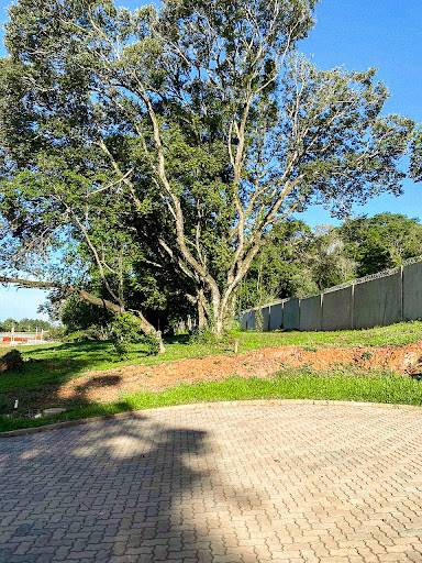 Empreendimento em Country - Santa Cruz do Sul, RS - Foto 6