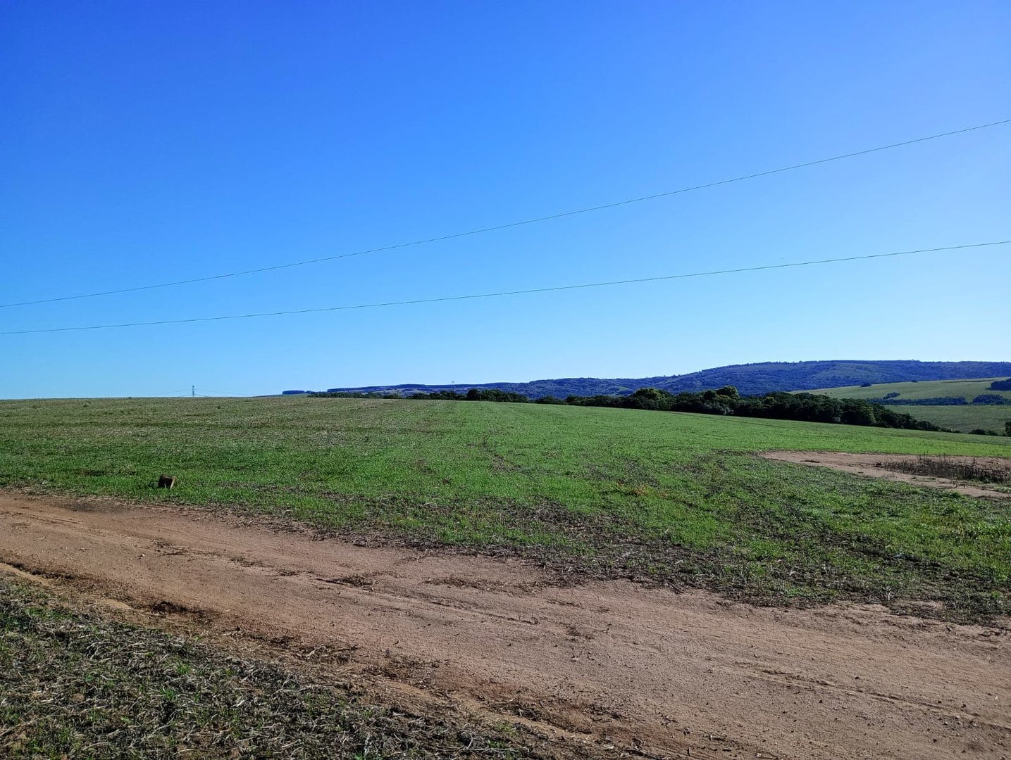 187 hectares - Arroio dos Ratos - Foto 5