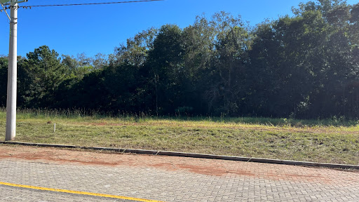 Terreno à venda em Linha Santa Cruz, Santa Cruz do Sul - Foto 6