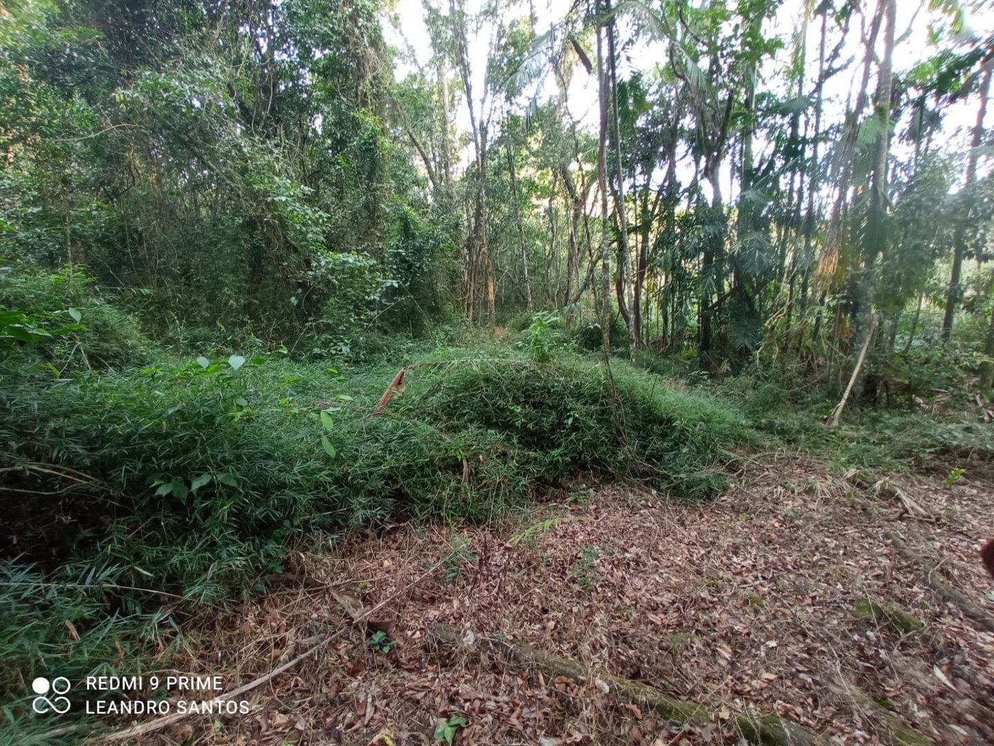 5,5 hectares - Cerro Alegre Alto - Foto 7