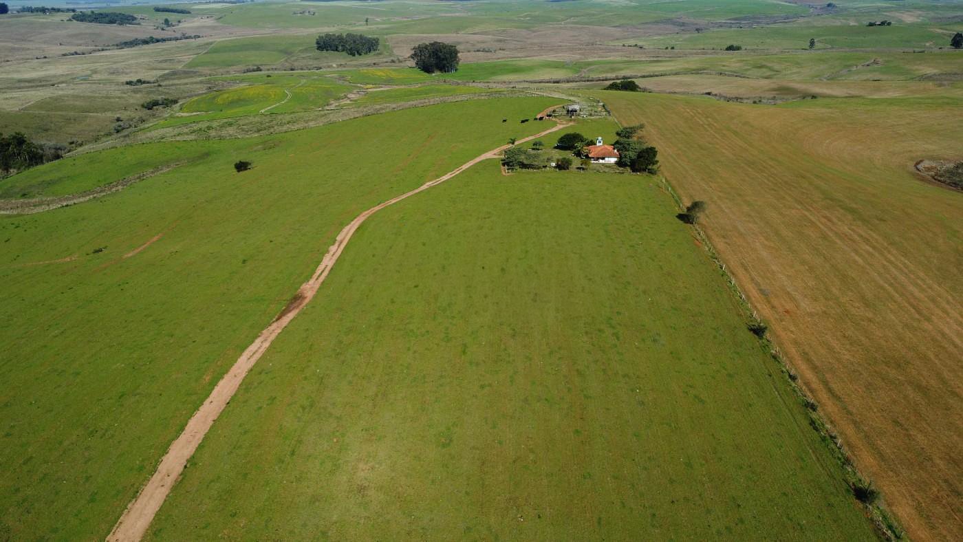 Fazenda 119ha - Foto 8