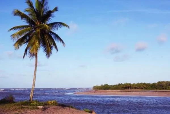 Residencial Residence Park - Foto 15