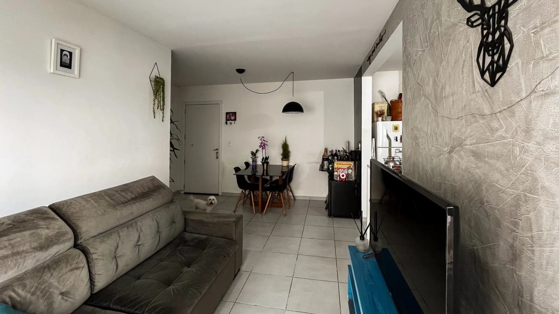 Apartamento - Vivaz - Foto 3