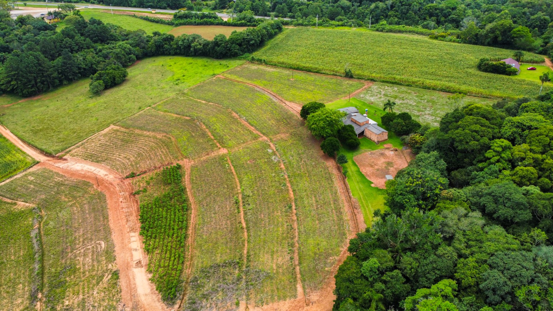 Chácara em Rincão Del Rei com 4,5ha - Foto 3