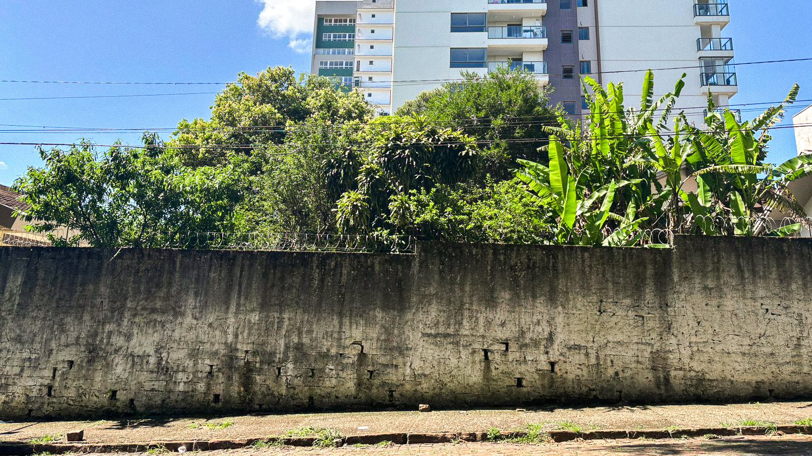 Terreno Plano no Centro com 341 m² - Foto 7