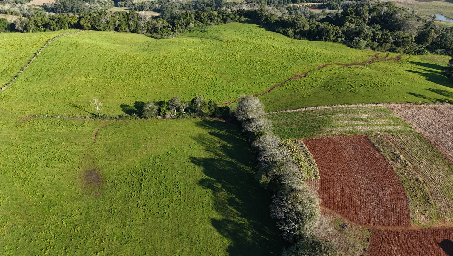 60 hectares - Santa Cruz do Sul - Foto 14
