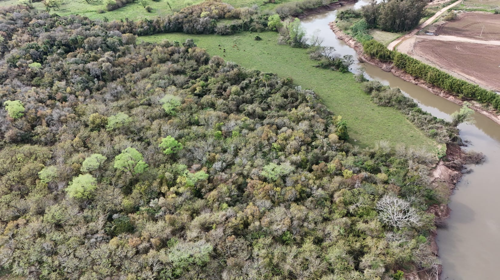 37 hectares - Vera Cruz - Foto 12