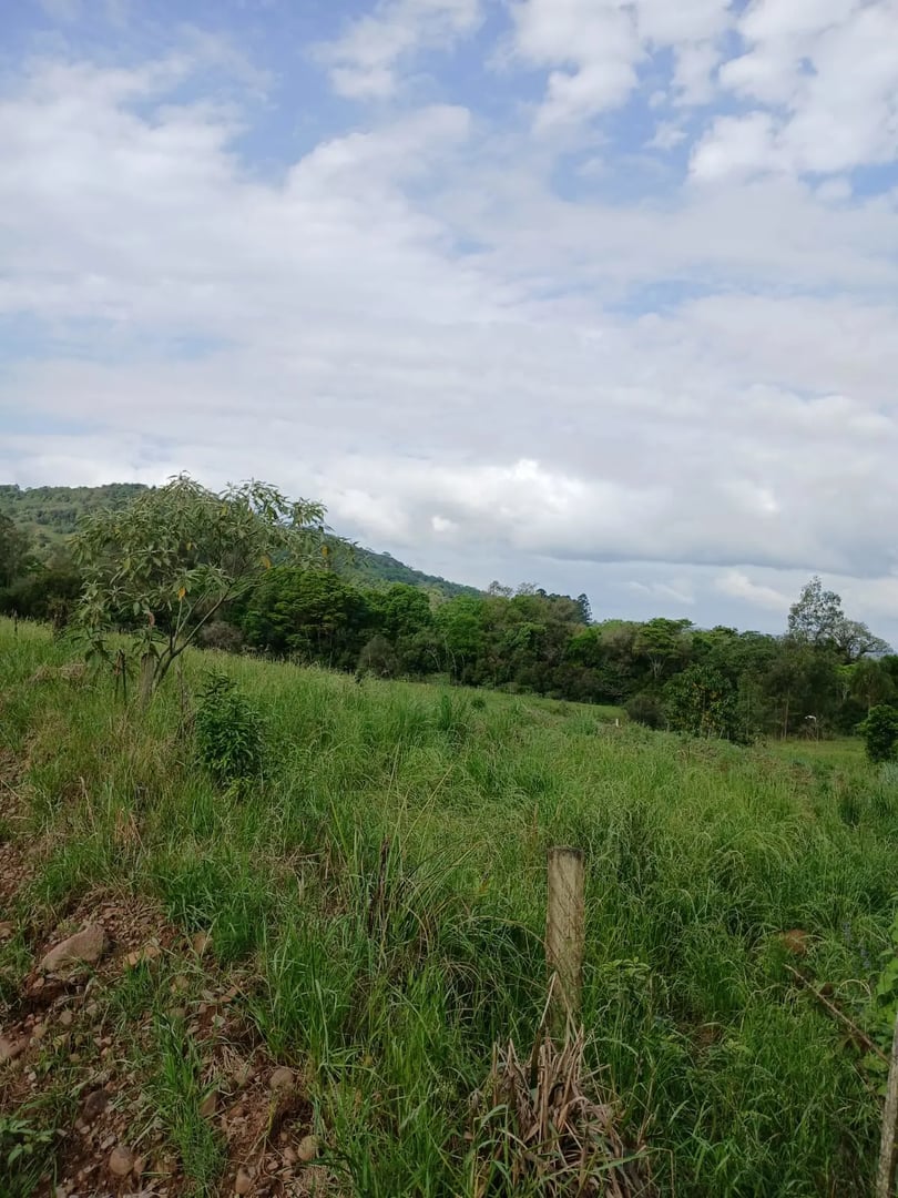 2 hectares - Cerro Alegre Baixo