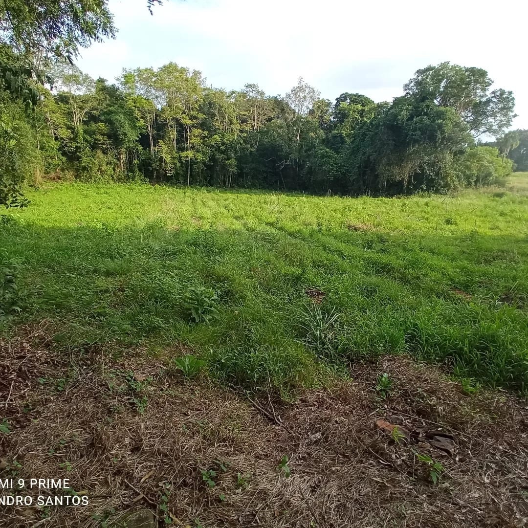 5,5 hectares - Cerro Alegre Alto - Foto 4