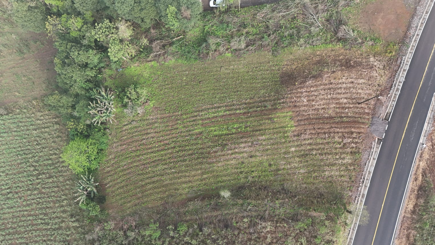 Área Boa Vista - 2.000m² - Foto 5