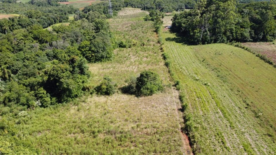 5 hectares - Linha João Alves - Foto 3