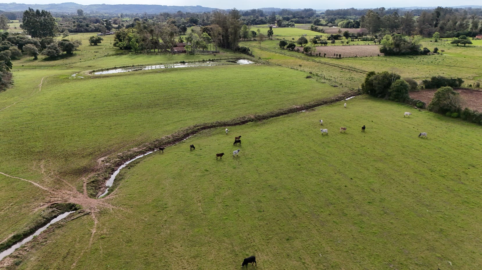 37 hectares - Vera Cruz - Foto 8