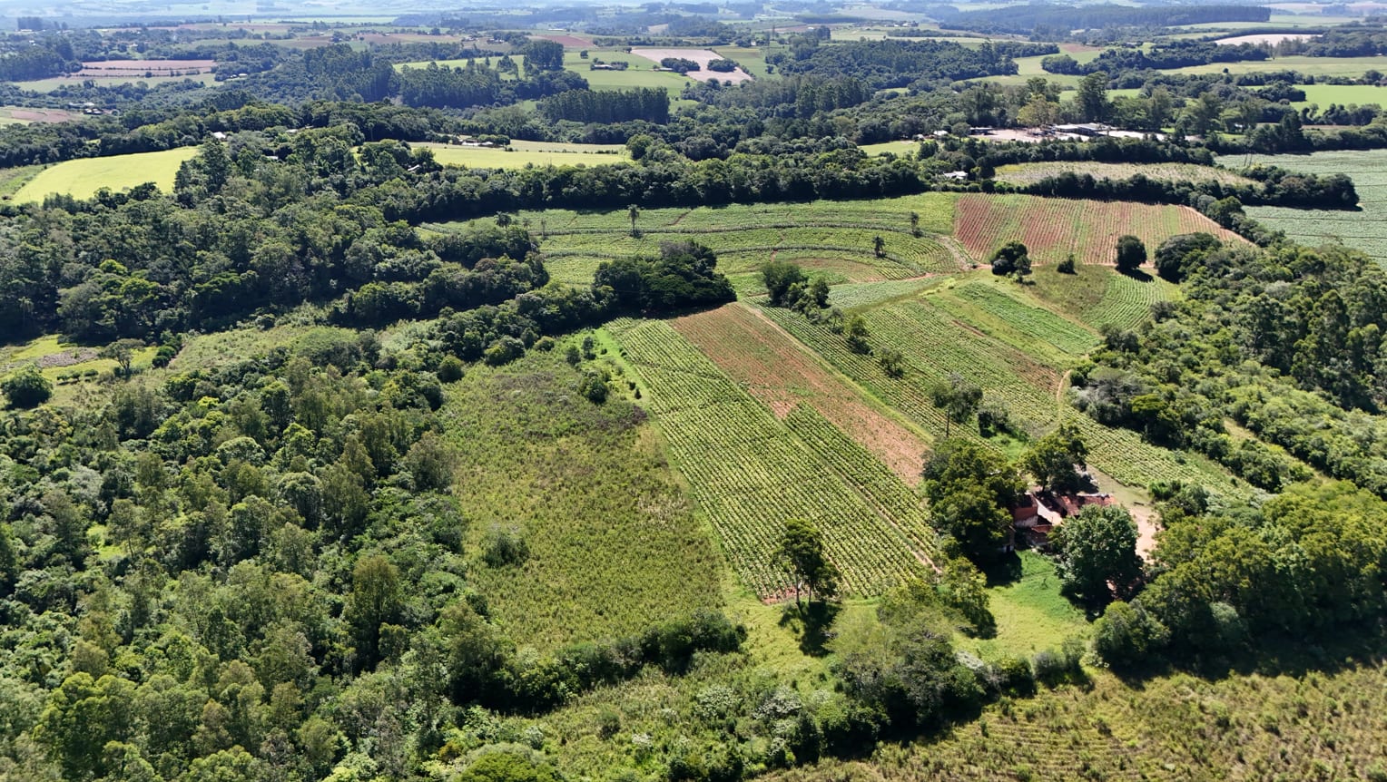 Área no Rincão del Rei - 50 hectares - Foto 5