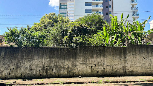 Terreno Plano no Centro com 341 m² - Foto 7