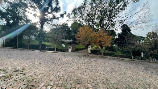 Casa com Terrenão no Centro com 1992 m² - Foto 5
