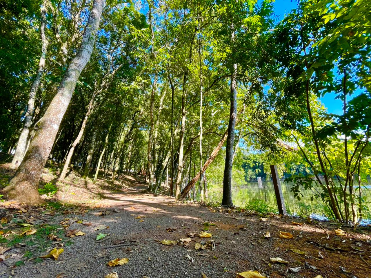 Terreno no Condomínio Parque Europa com 3353 m² - Foto 28