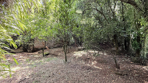 Casa no Higienópolis com 4 dormitórios - Foto 10