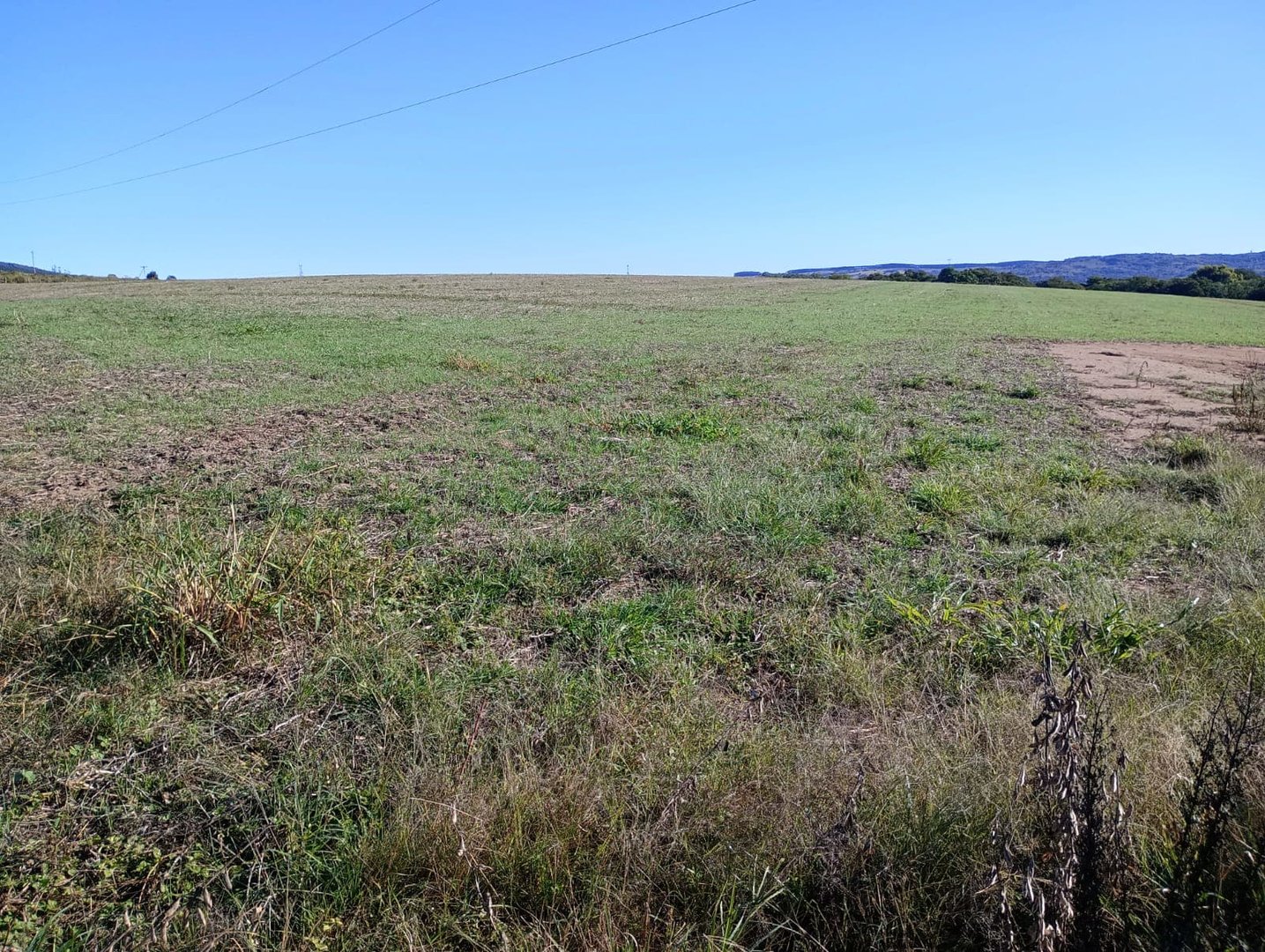 187 hectares - Arroio dos Ratos - Foto 3