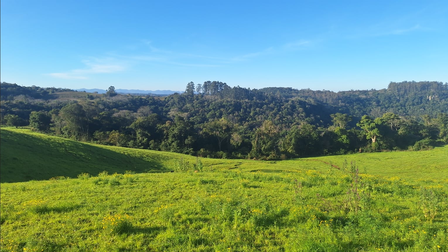 60 hectares - Santa Cruz do Sul - Foto 4