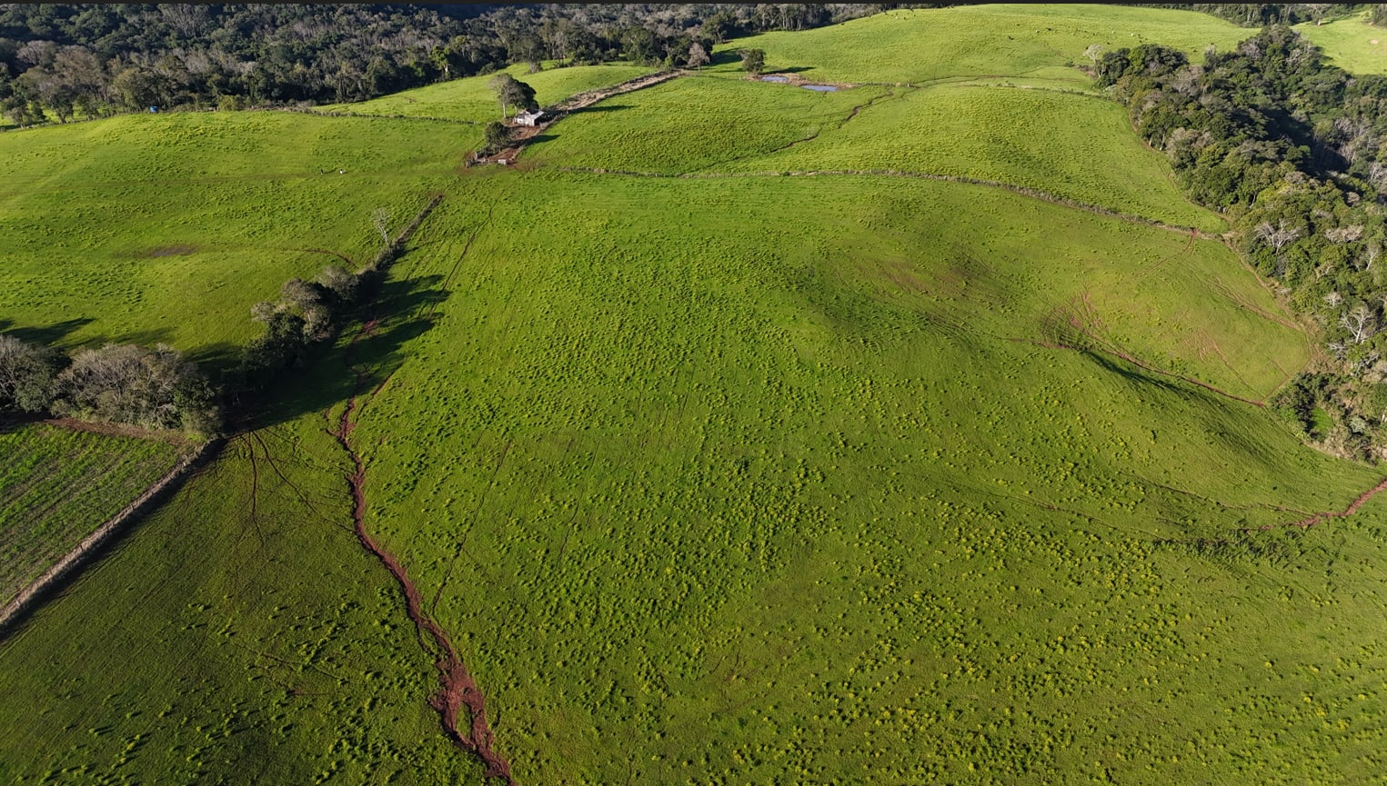 60 hectares - Santa Cruz do Sul