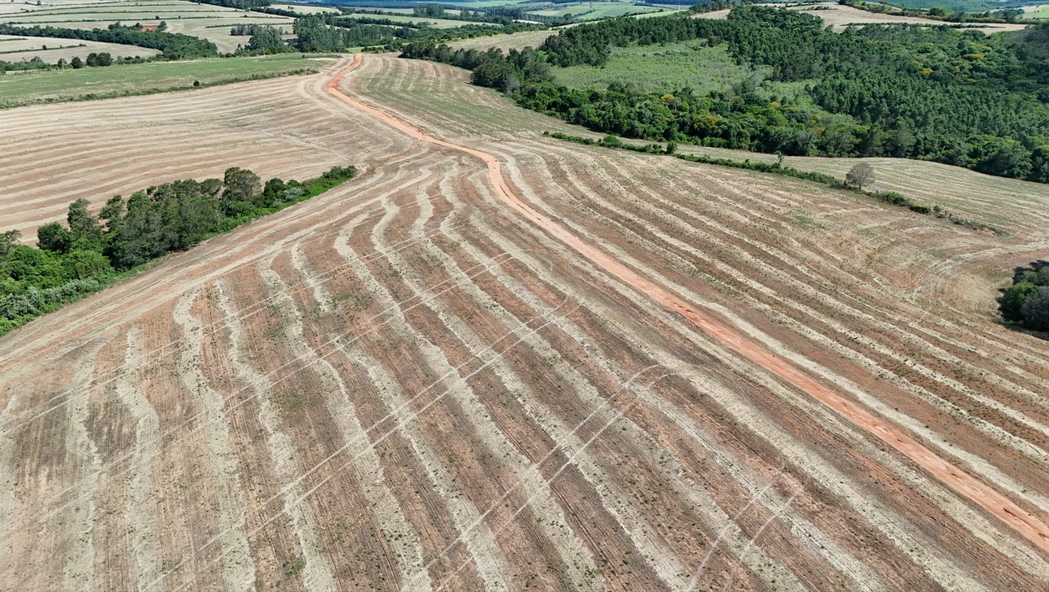 517 hectares - Butiá - Foto 3