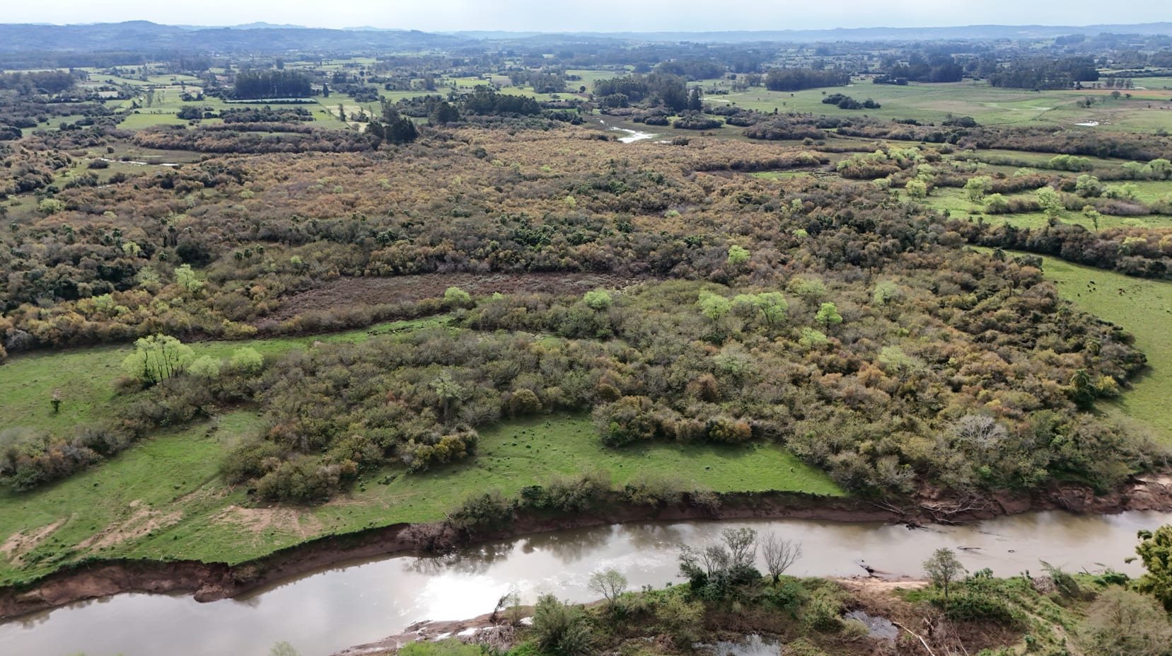 37 hectares - Vera Cruz - Foto 11