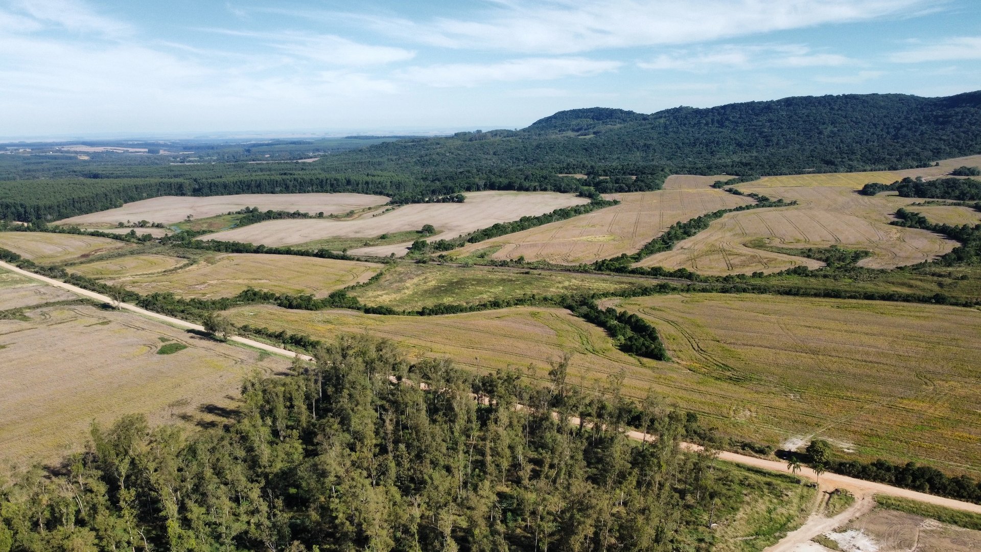 250 hectares - Vale Verde - Foto 4