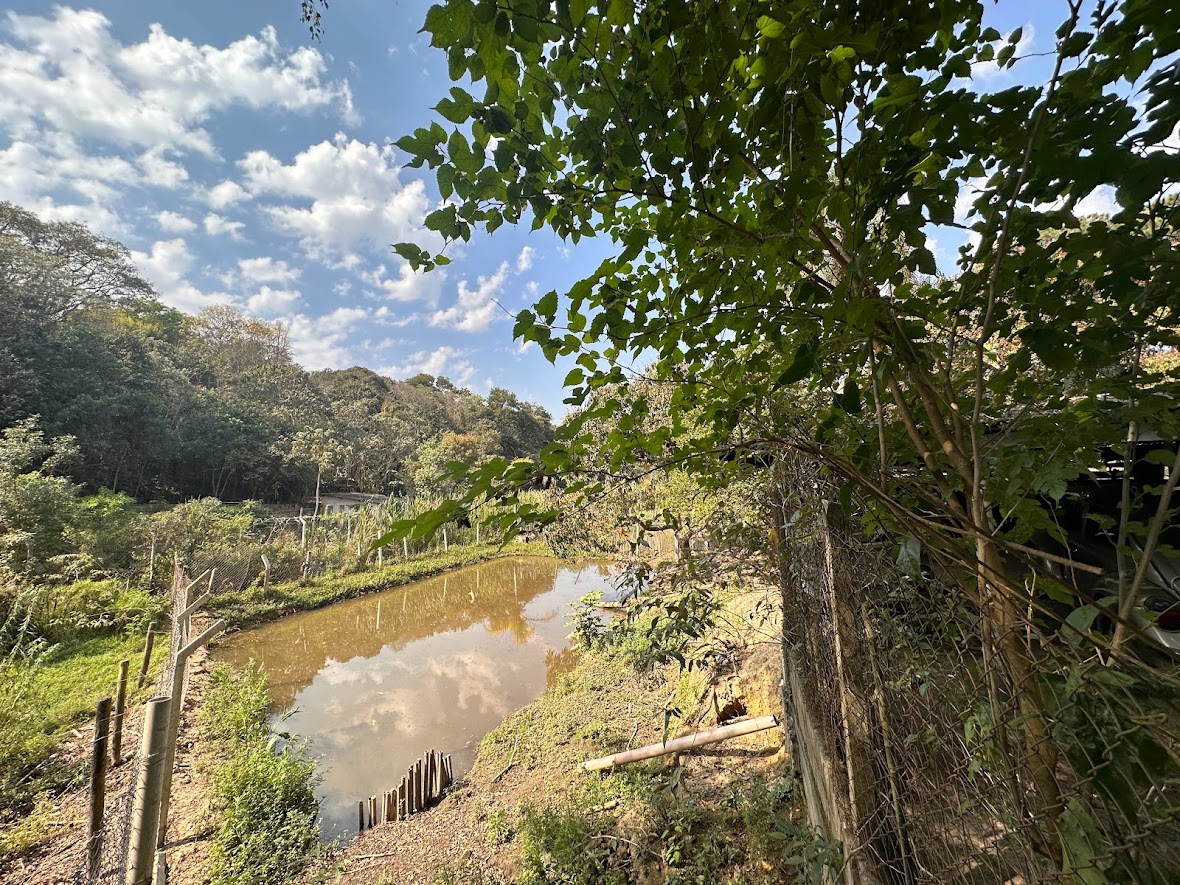 Chácara com Lago, Bairro Dona Catarina, 3.000 metros quadrados