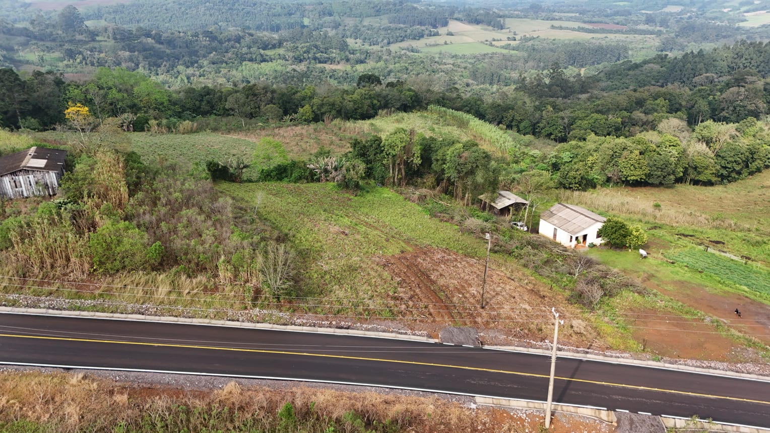 Área Boa Vista - 2.000m² - Foto 4