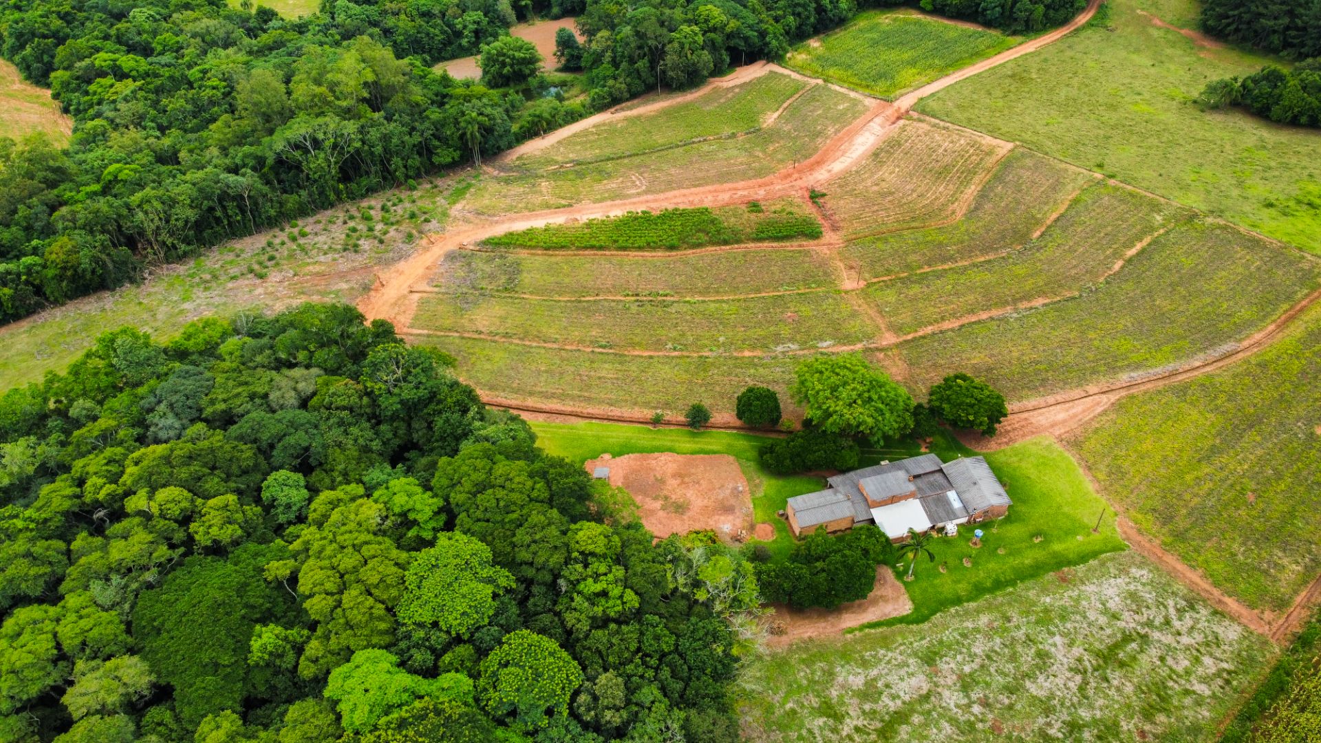 Chácara em Rincão Del Rei com 4,5ha - Foto 4