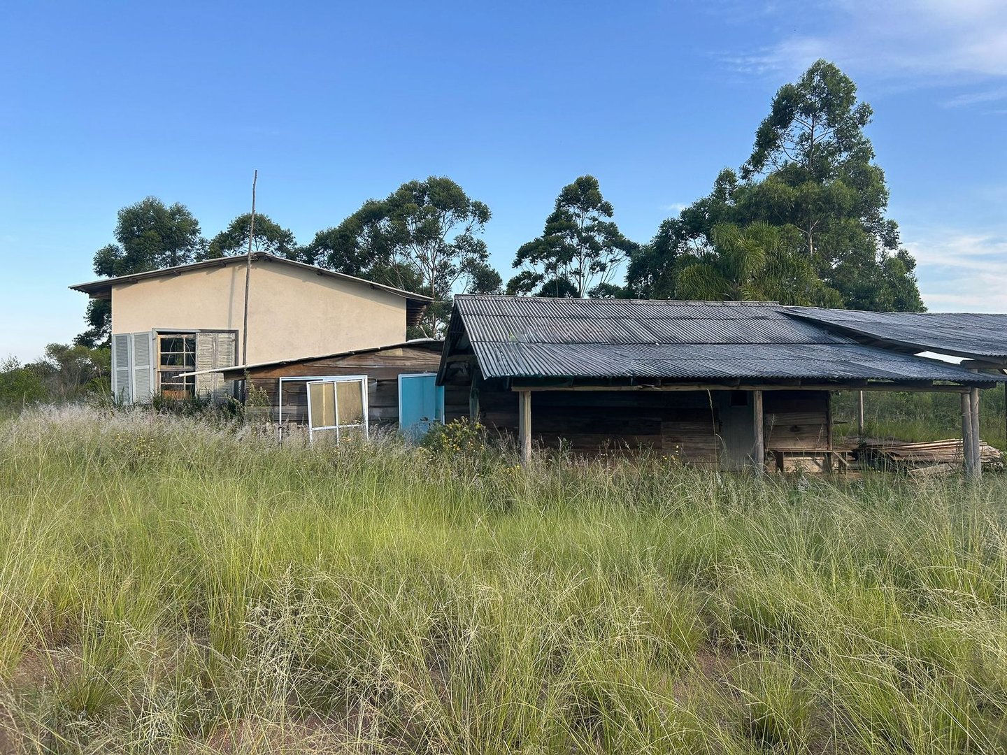 Fazenda 130 Ha - Foto 6