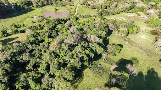 Chácara em Candelária com 21 Hectares - Foto 13