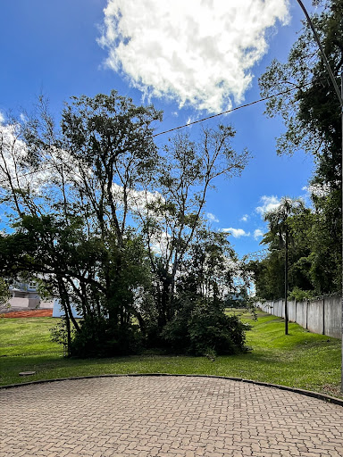 Terreno no Condomínio Reserva do Arvoredo com 362 m² - Foto 3