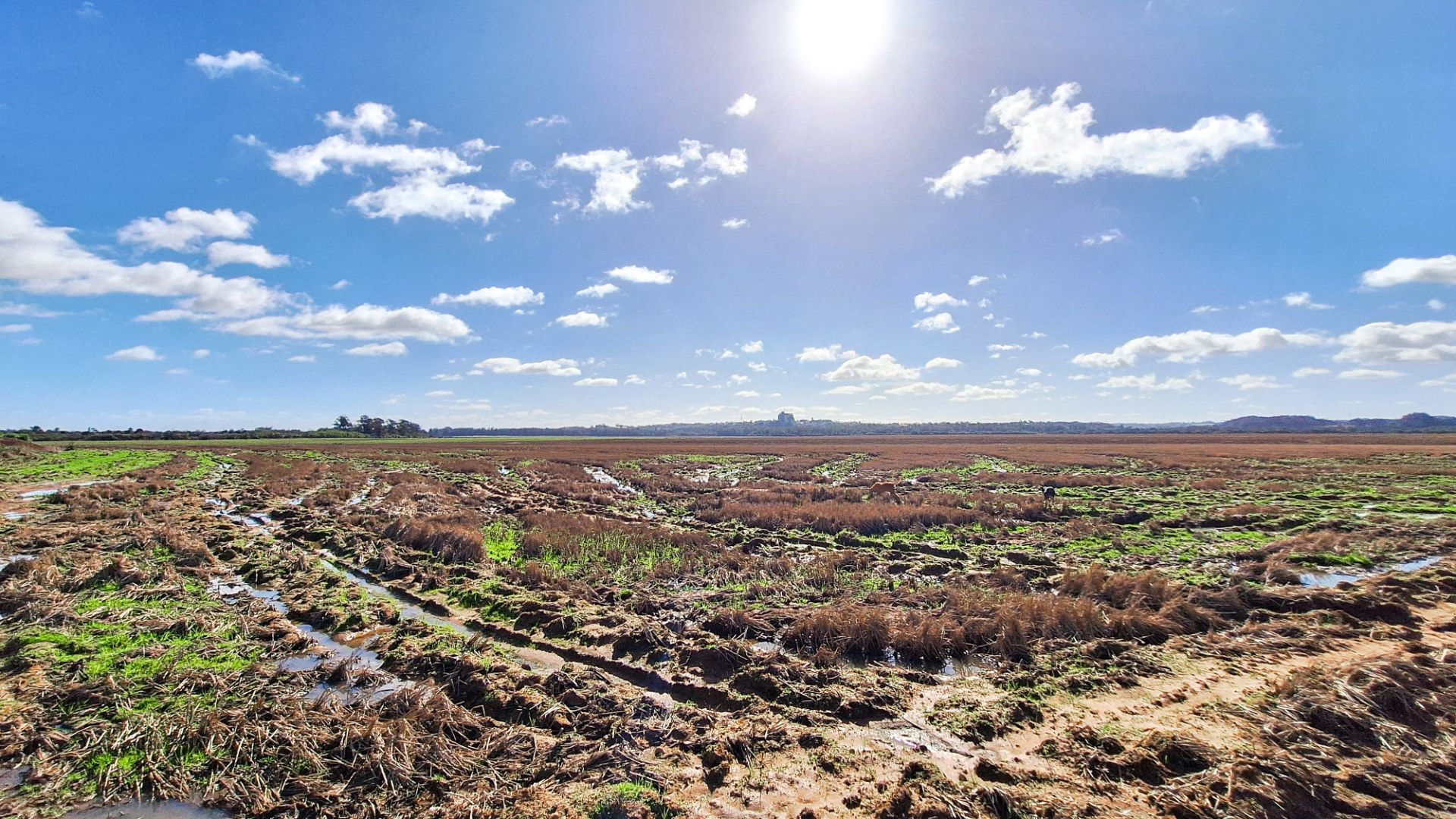 Fazenda em Cachoeira do Sul com 530 Hectares - Foto 6