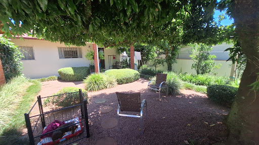 Casa na Avenida com 3 dormitórios e amplo pátio com Piscina - Foto 8