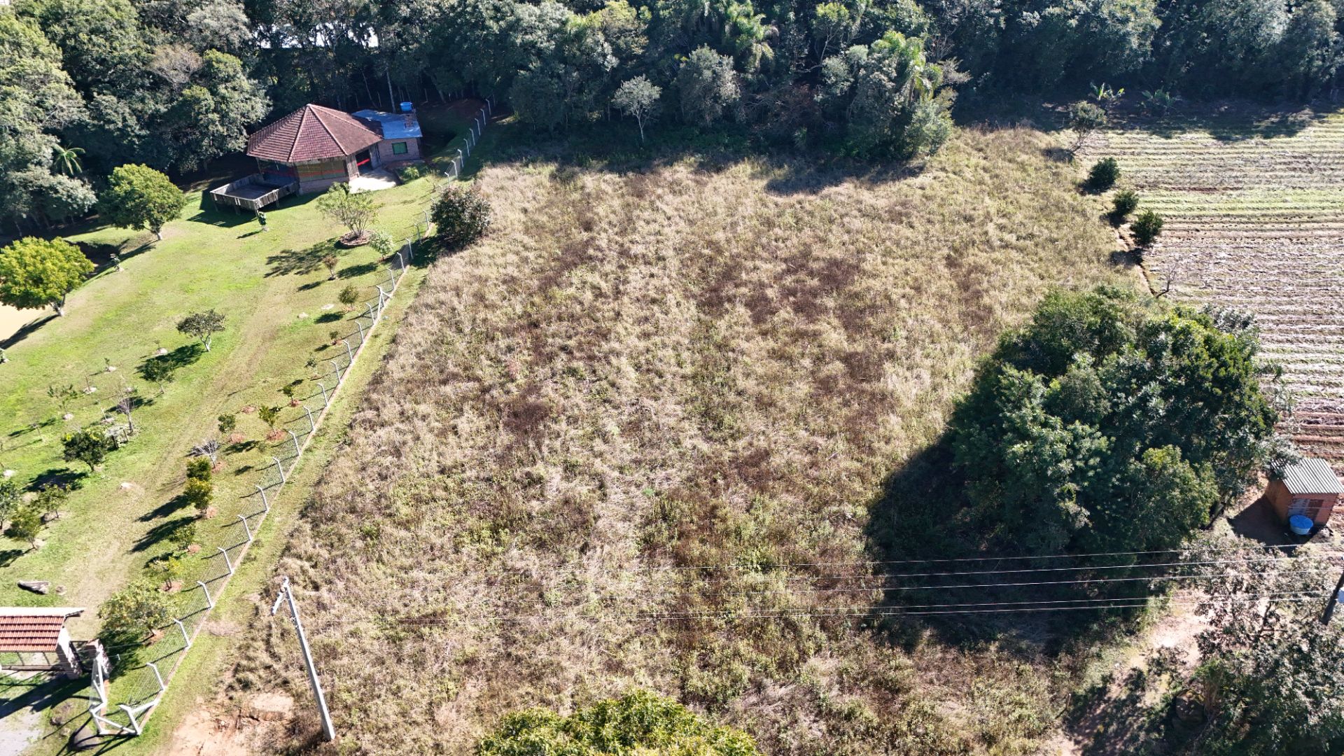 Terreno na Travessa Dona Leopoldina - Foto 5