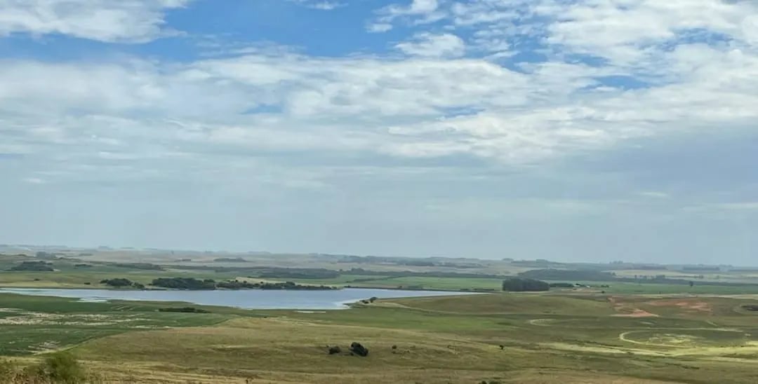 120 hectares - Alegrete - Foto 11