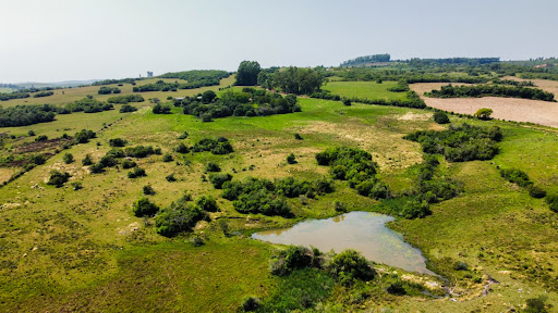 Fazenda em Encruzilhada do Sul com 44,4ha - Foto 6