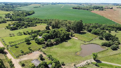Chácara em São José da Reserva com 7,86 hectares - Foto 21