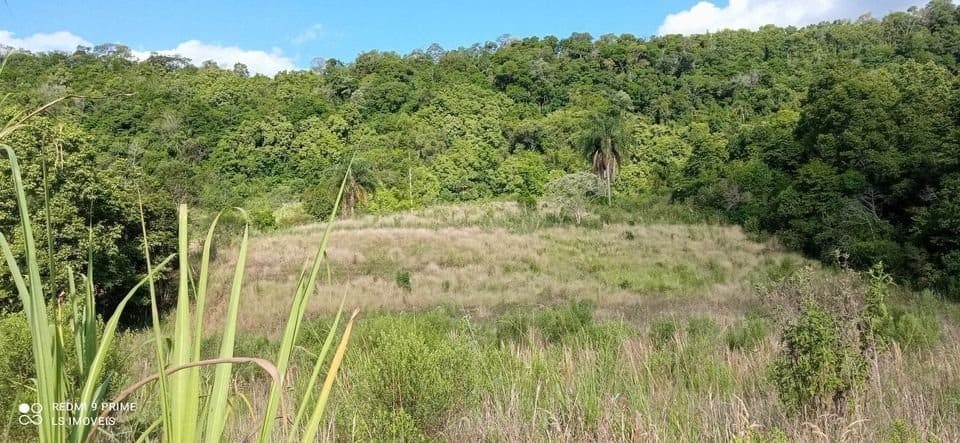 2,8 hectares - Rio Pardinho - Foto 3