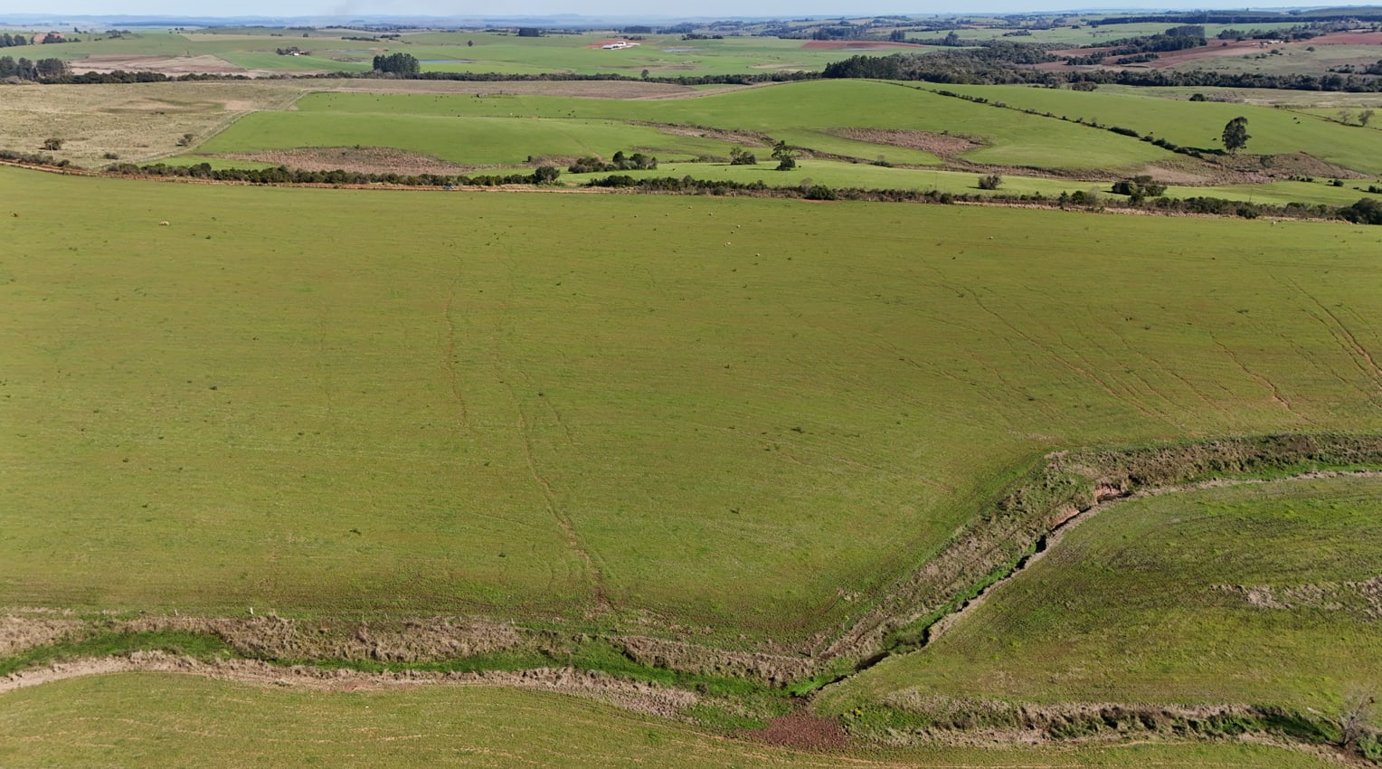 203 hectares - Vale Verde - Foto 3