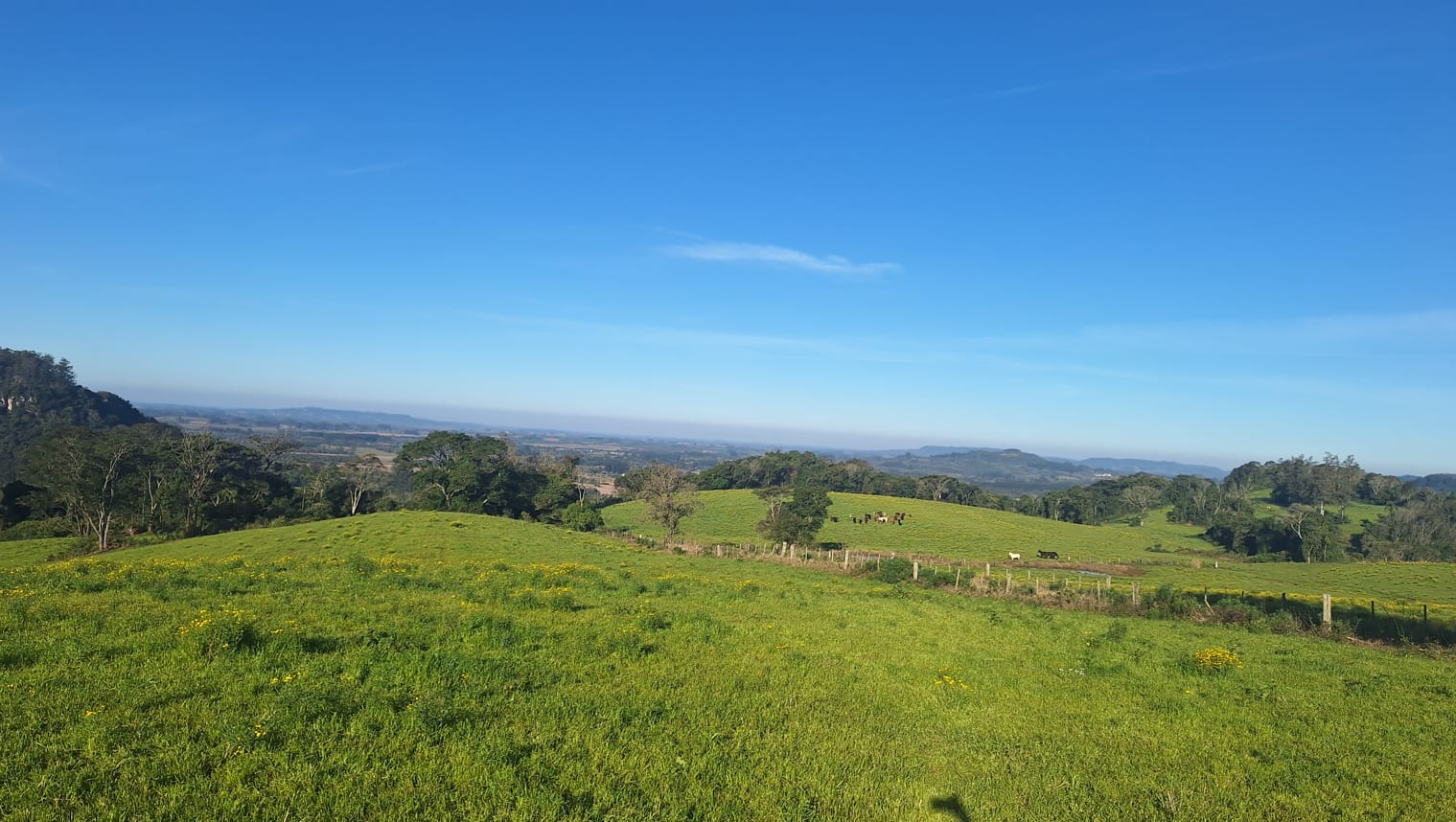 60 hectares - Santa Cruz do Sul - Foto 3